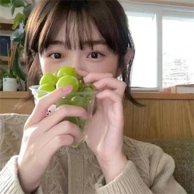 长夜折柳纪